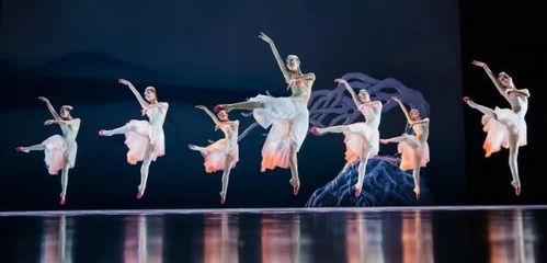 成人舞蹈艺术生活视频,成人舞蹈艺术生活精彩瞬间