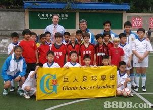 成人足球培训视频,成人足球培训视频精华解析