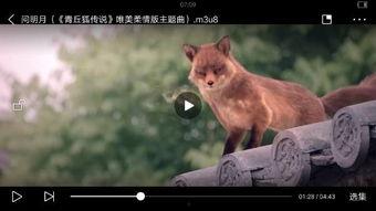 怎么把动物变成人说话视频,揭秘神奇视频背后的科学奥秘