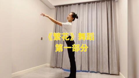 成人舞优美简单舞蹈视频,成人舞简单舞蹈视频教程