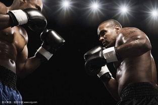 成人拳击乐趣视频下载安装,成人拳击乐趣视频下载与安装指南