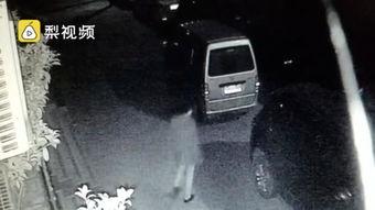 成人美女打屁股针视频,疼痛与美丽的交织