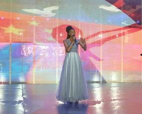 成人简单武术表演视频,武术表演魅力无限