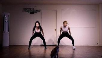 成人舞臀部热身动作视频