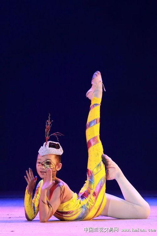 鸭子创意画成人舞蹈视频,创意成人舞蹈视频的趣味演绎