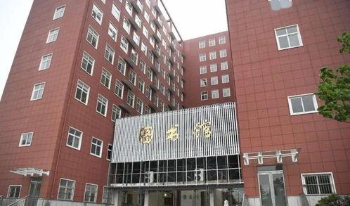 28岁成人教育视频,开启自我成长新篇章