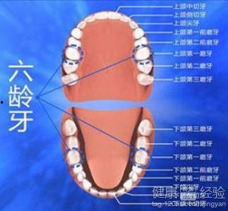 成人如何自己换牙视频讲解,视频教学，轻松掌握换牙技巧