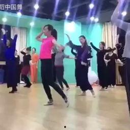 成人舞蹈玉兔舞视频大全,成人舞蹈视频大全赏析