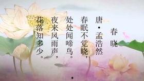 成人古诗词吟唱视频,成人古诗词吟唱视频赏析