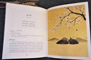 成人古诗词吟唱视频,成人古诗词吟唱视频赏析